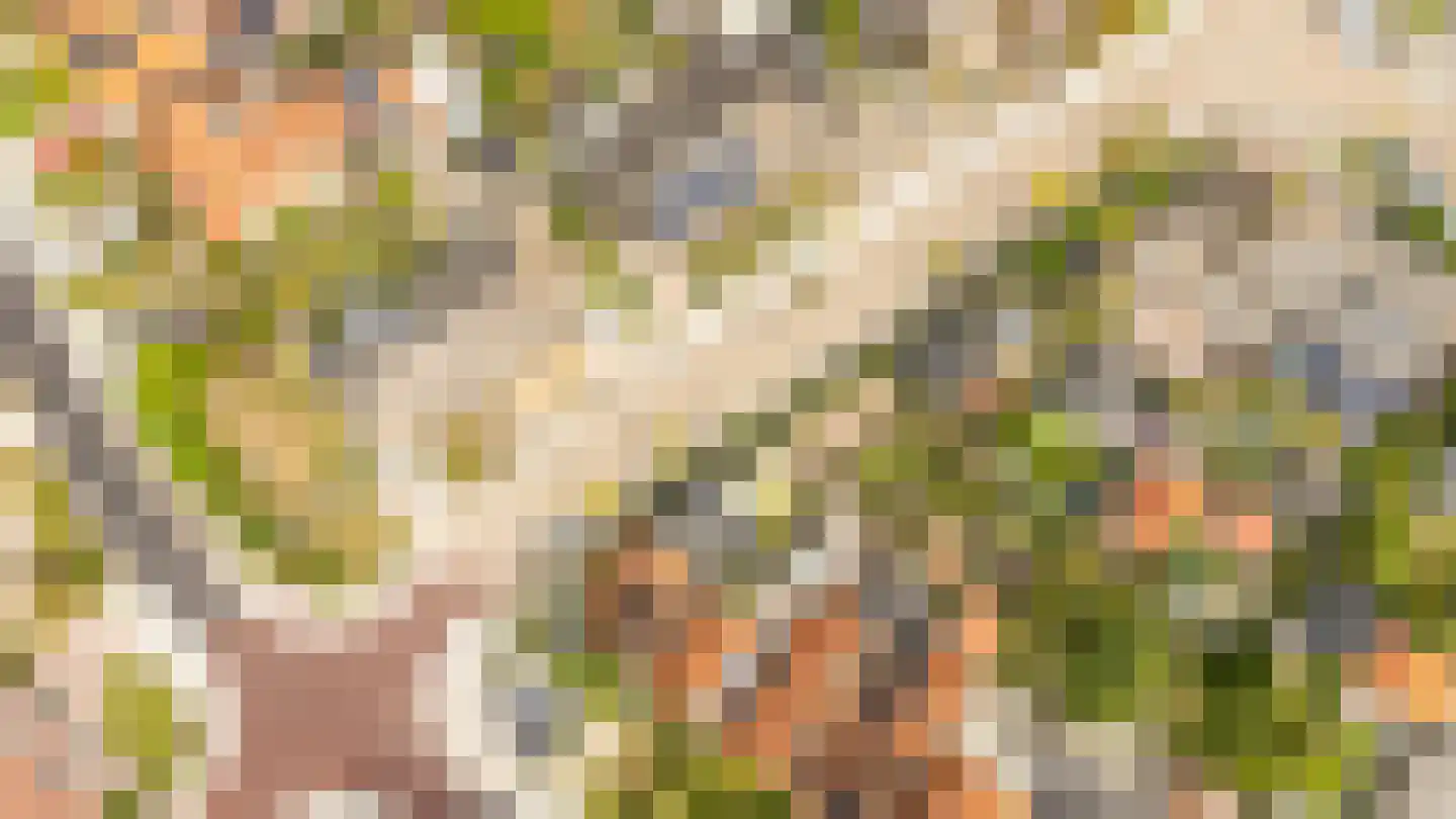 Noordweg 65 Serooskerke thumbnail 45