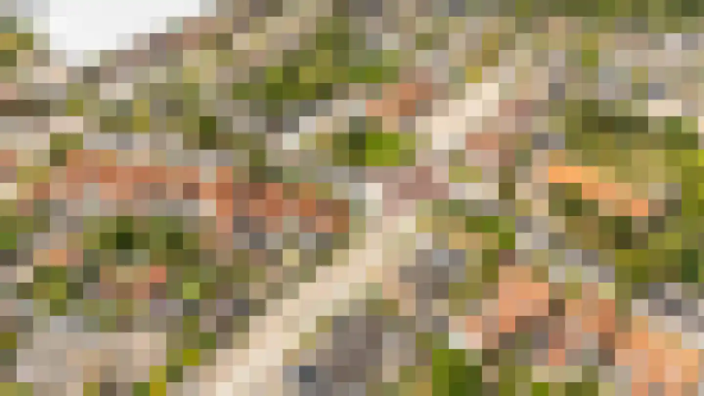 Noordweg 65 Serooskerke thumbnail 46