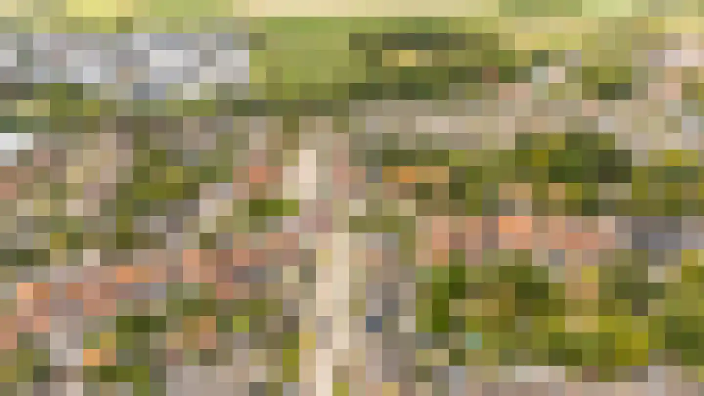 Noordweg 65 Serooskerke thumbnail 47