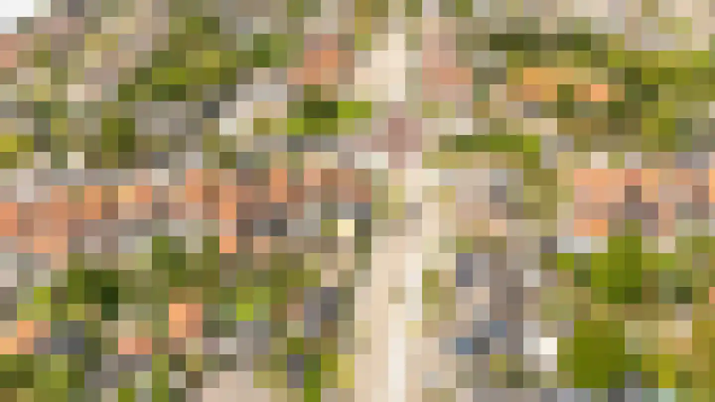 Noordweg 65 Serooskerke thumbnail 48