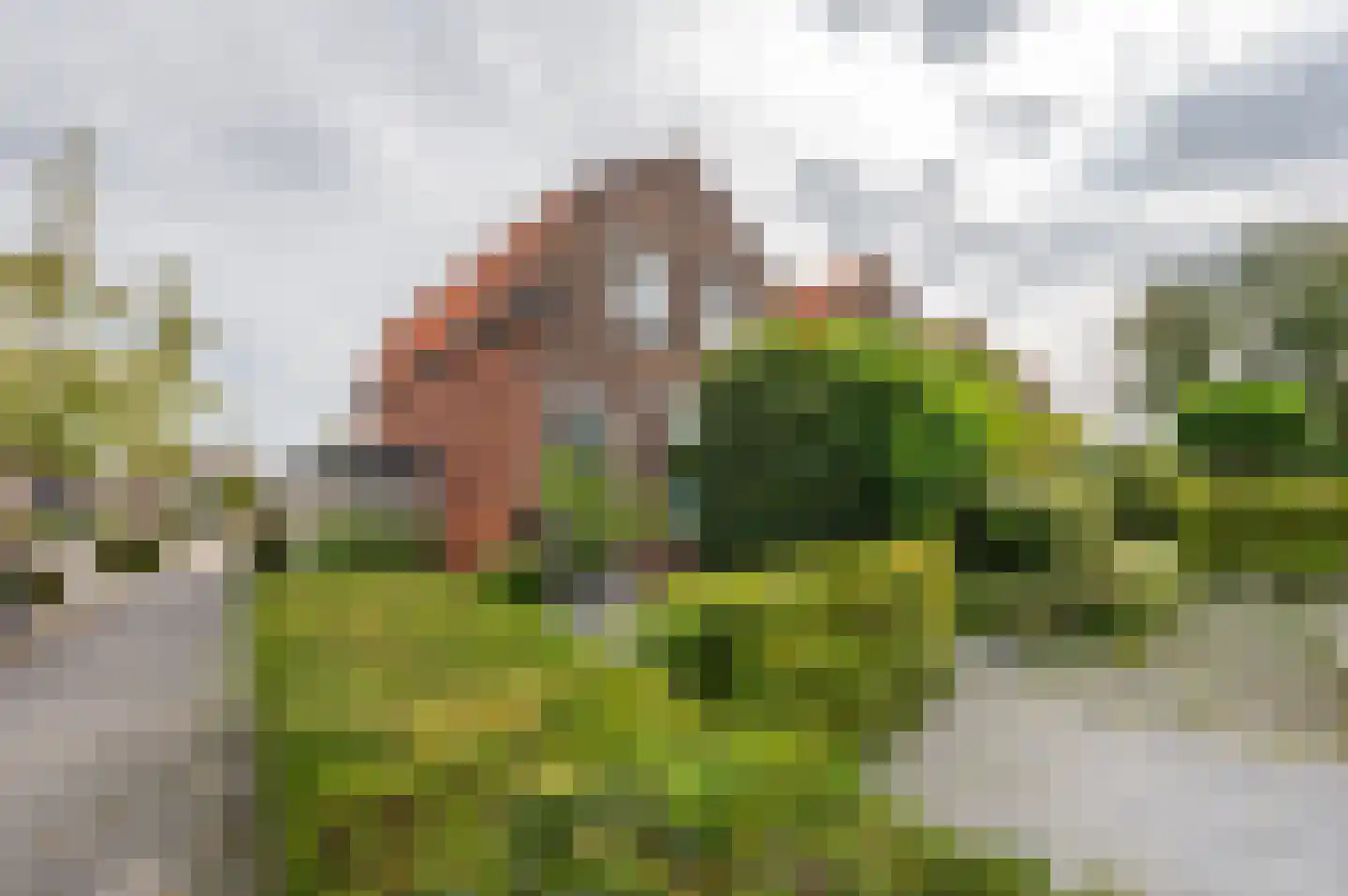 Noordweg 65 Serooskerke thumbnail 50