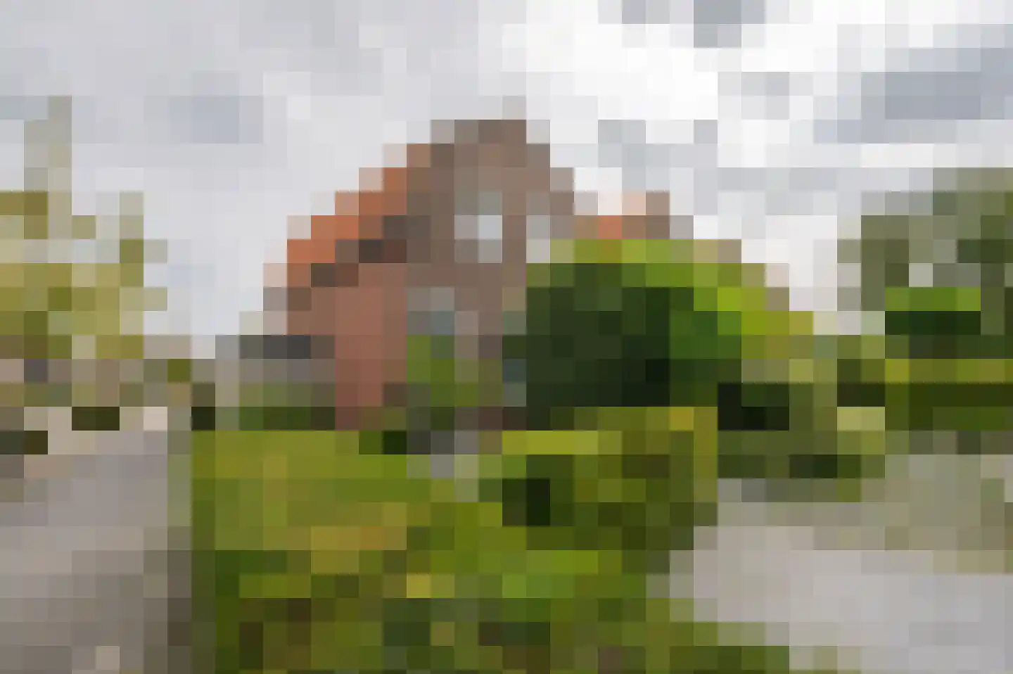 Noordweg 65 Serooskerke thumbnail 51