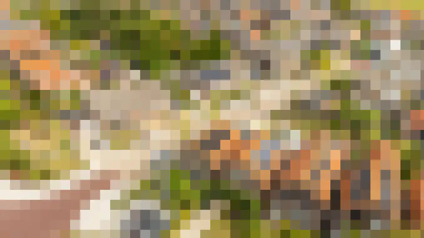 Noordweg 65 Serooskerke thumbnail 6