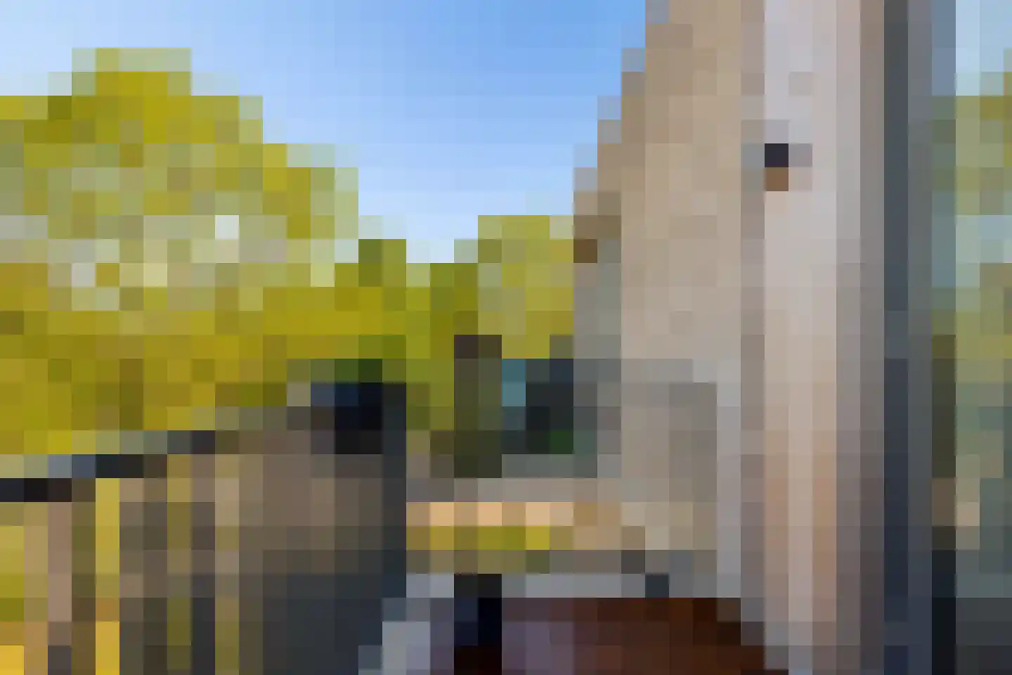 Noordweg 65 Zeist thumbnail 24