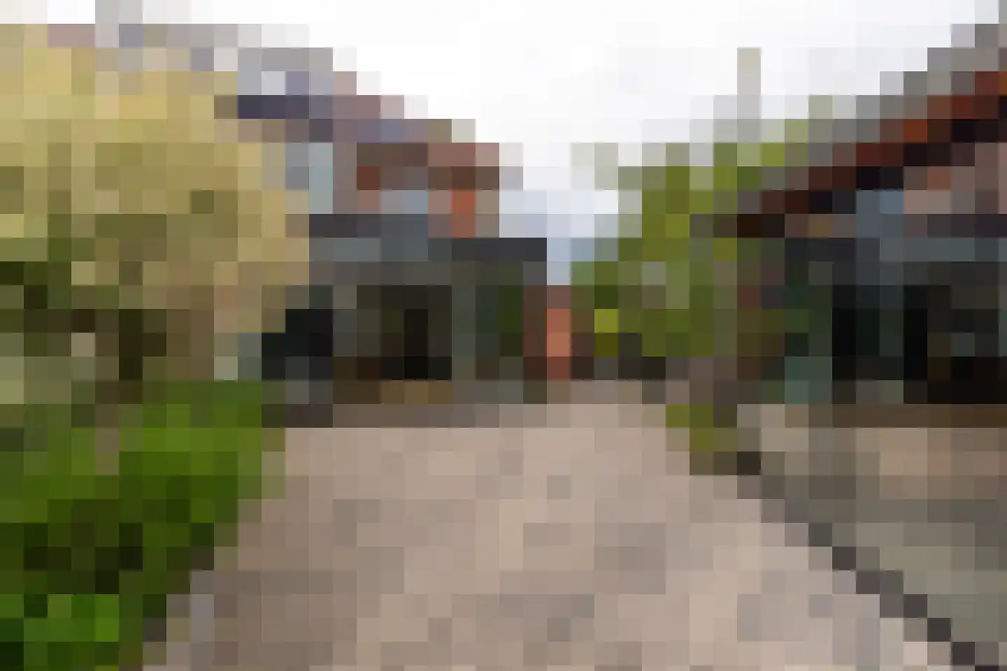 Noordweg 67 Den Haag thumbnail 27