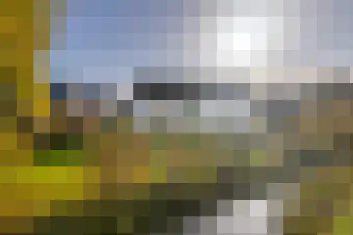 Noordweg 69 Den Haag thumbnail 4