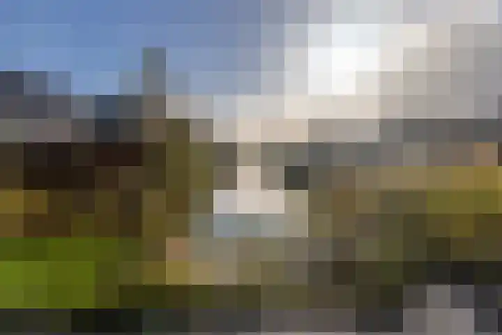 Noordweg 69 Den Haag thumbnail 43