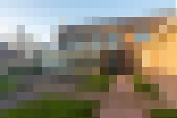 Noordweg 69 Den Haag thumbnail 6