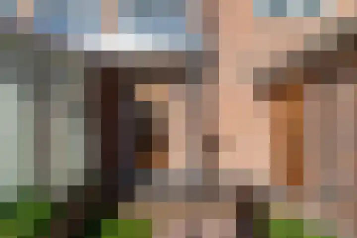 Noordweg 69 Den Haag thumbnail 7