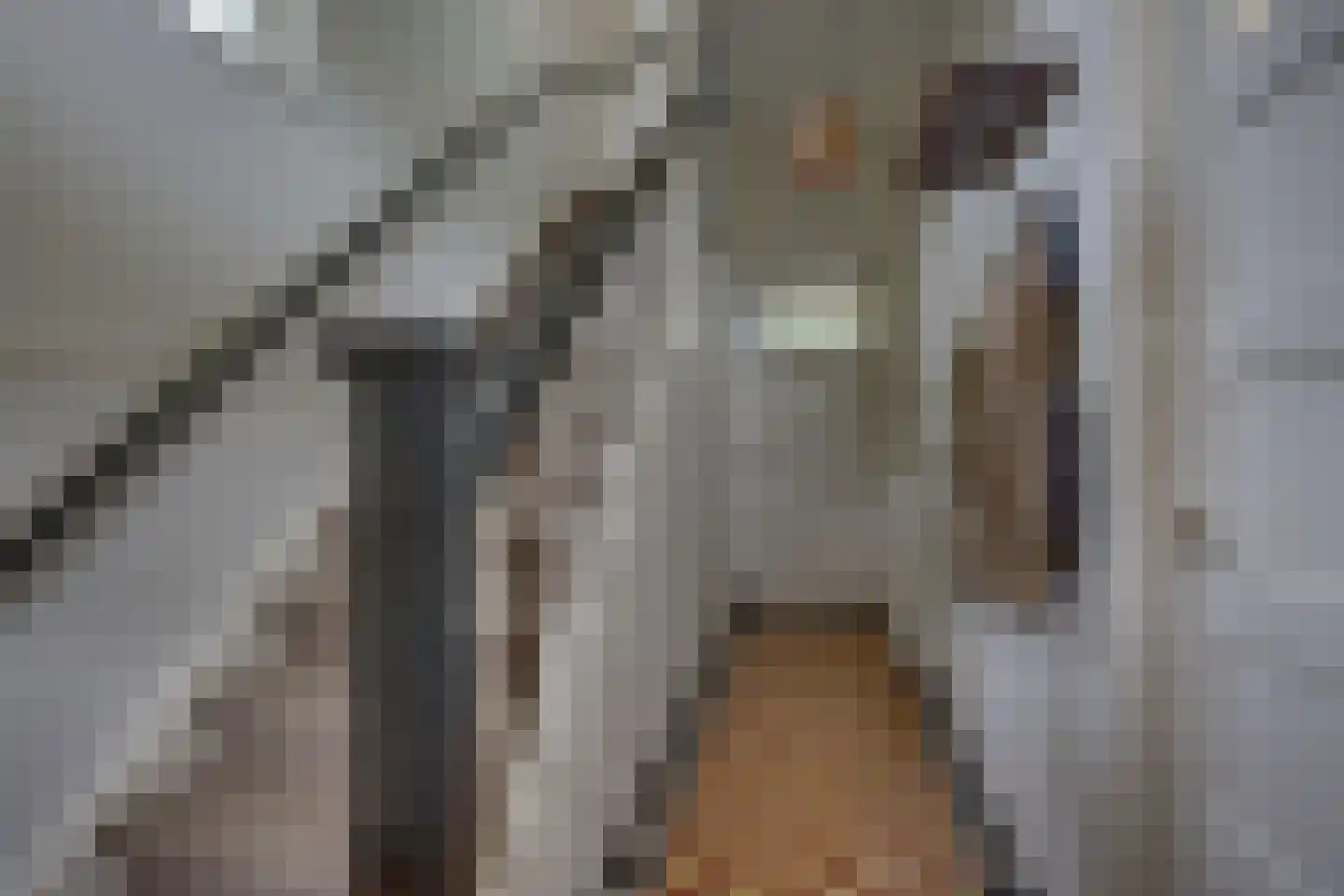 Noordweg 7 Kampen thumbnail 14