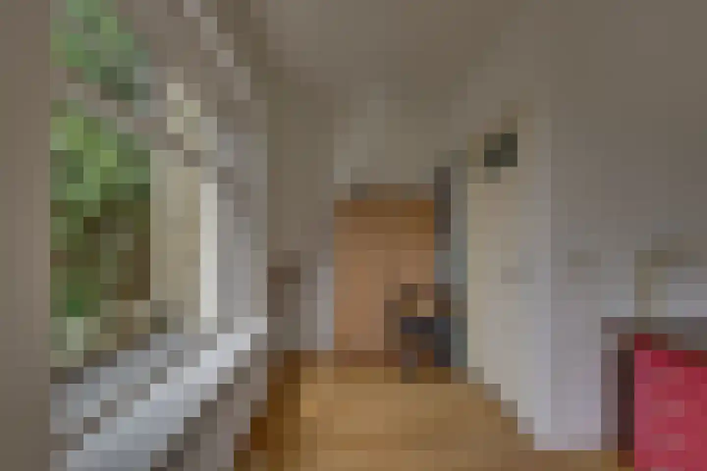 Noordweg 7 Kampen thumbnail 30