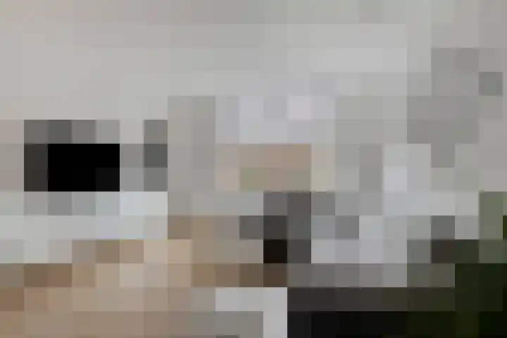 Noordweg 7 Sint Philipsland thumbnail 13