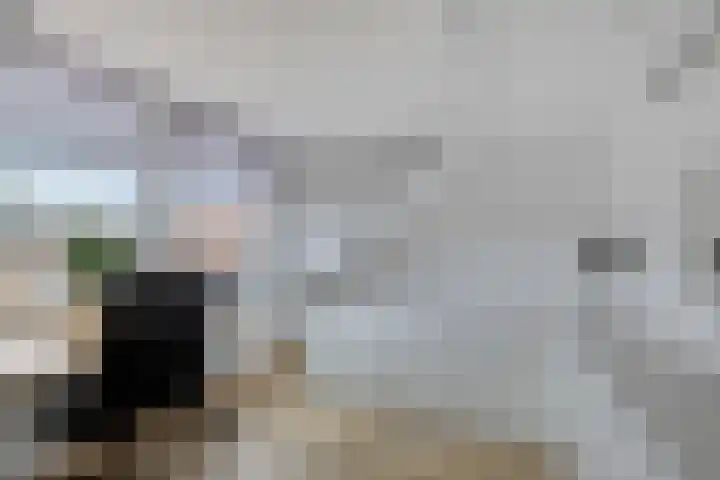 Noordweg 7 Sint Philipsland thumbnail 23
