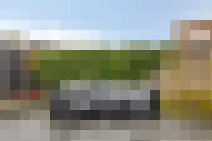 Noordweg 7 Sint Philipsland thumbnail 30