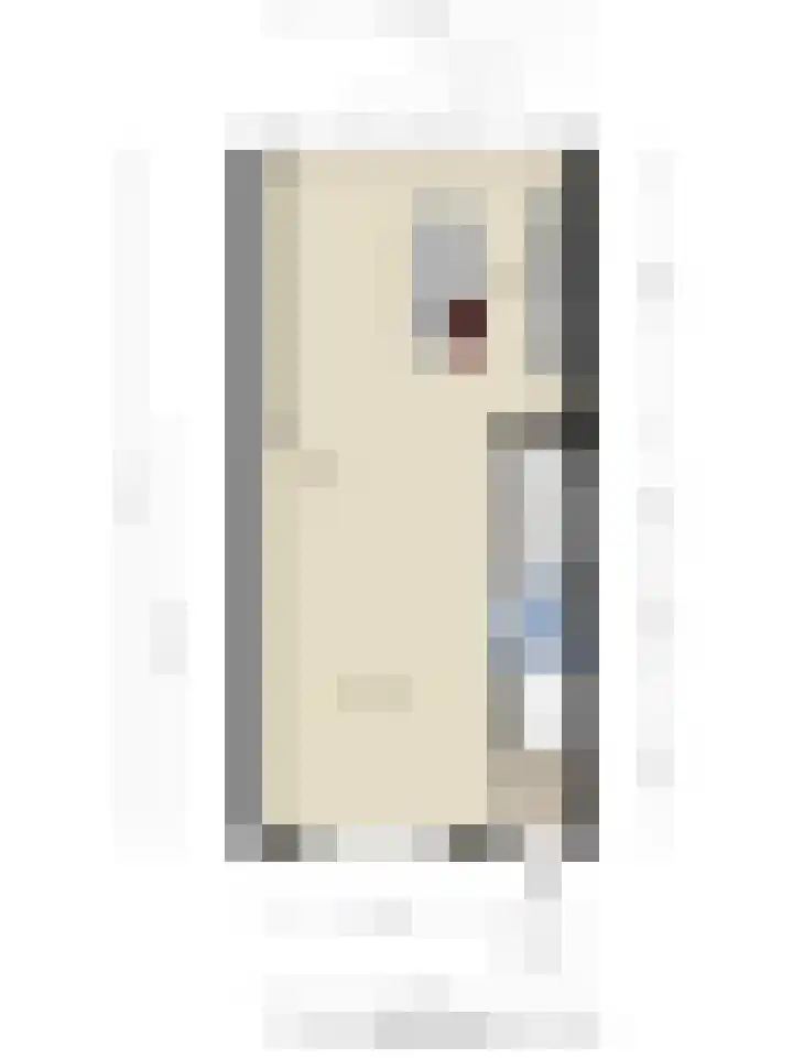 Noordweg 7 Sint Philipsland thumbnail 33