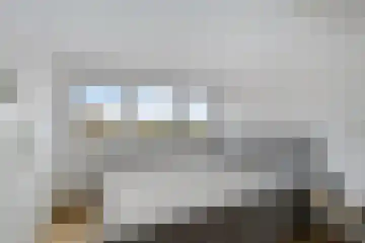 Noordweg 7 Sint Philipsland thumbnail 4