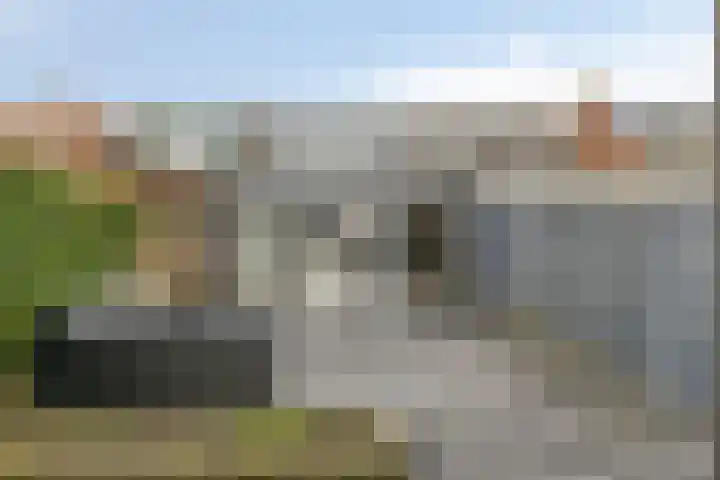 Noordweg 7 Sint Philipsland thumbnail 6