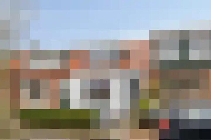 Noordweg 7 Sint Philipsland thumbnail 8