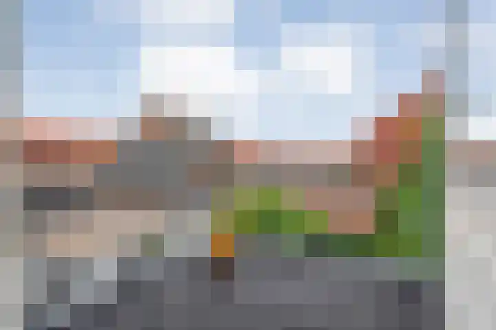 Noordweg 74 Kampen thumbnail 25