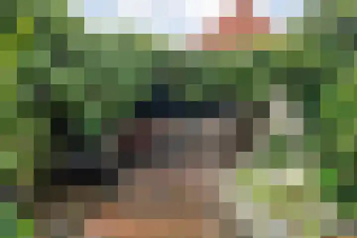Noordweg 74 Kampen thumbnail 36