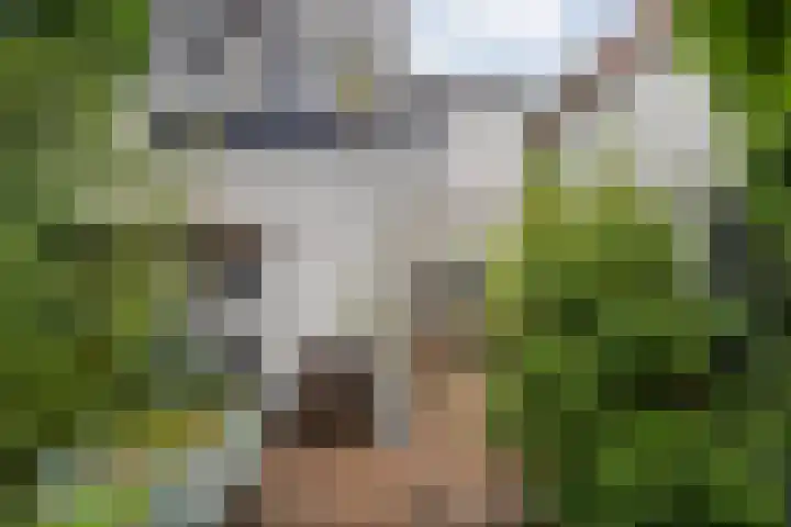 Noordweg 74 Kampen thumbnail 4