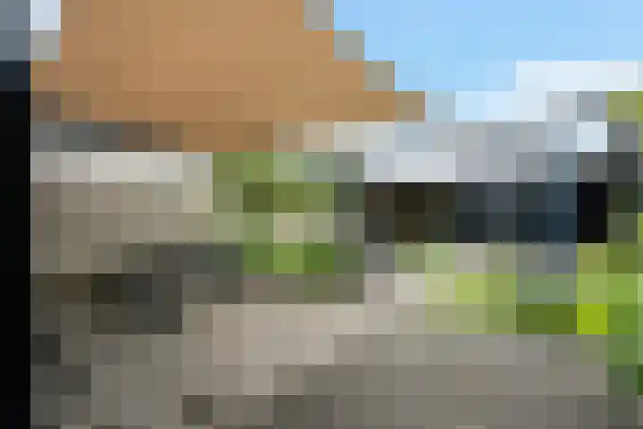 Noordweg 79 Zeist thumbnail 22