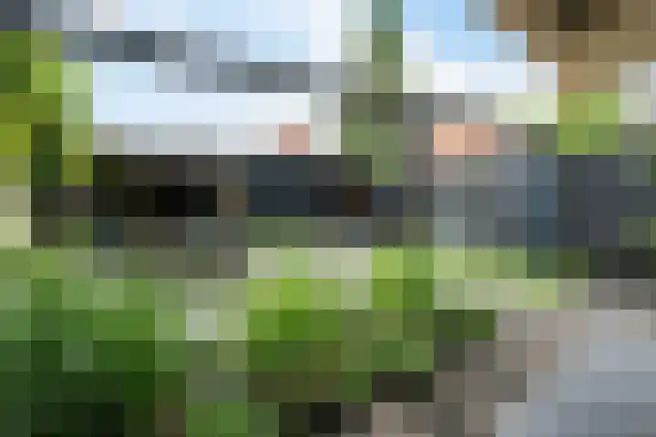 Noordweg 79 Zeist thumbnail 25