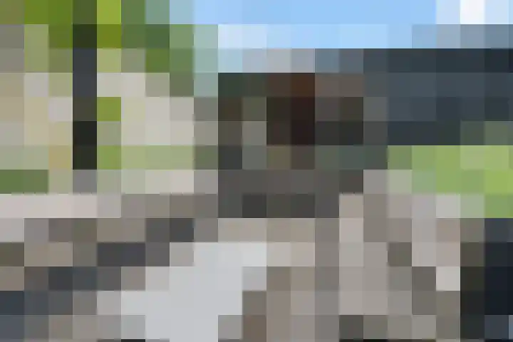 Noordweg 79 Zeist thumbnail 26