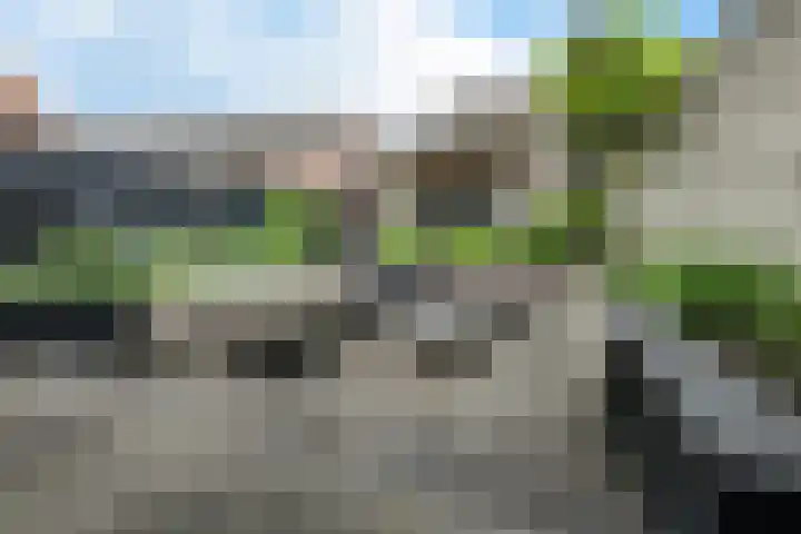 Noordweg 79 Zeist thumbnail 28