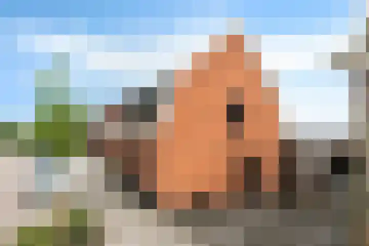 Noordweg 79 Zeist thumbnail 4