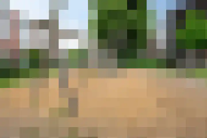 Noordweg 79 Zeist thumbnail 57