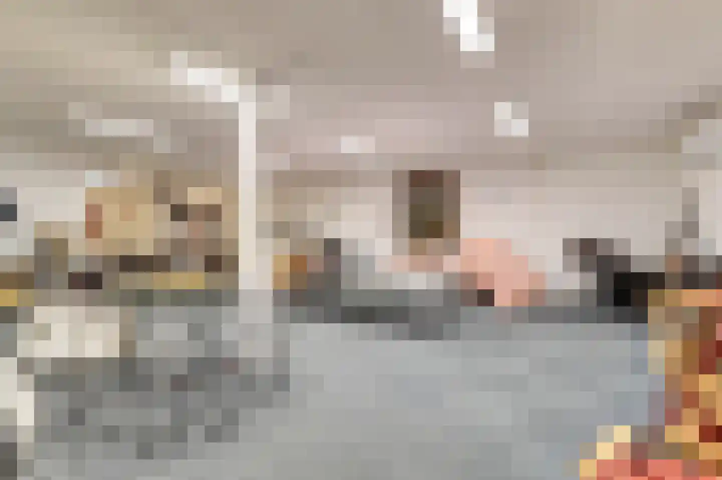 Noordweg 8 B Krabbendijke thumbnail 10