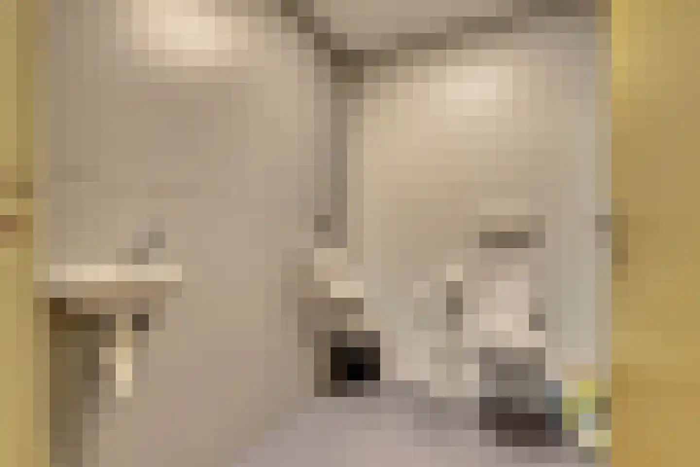 Noordweg 8 B Krabbendijke thumbnail 13