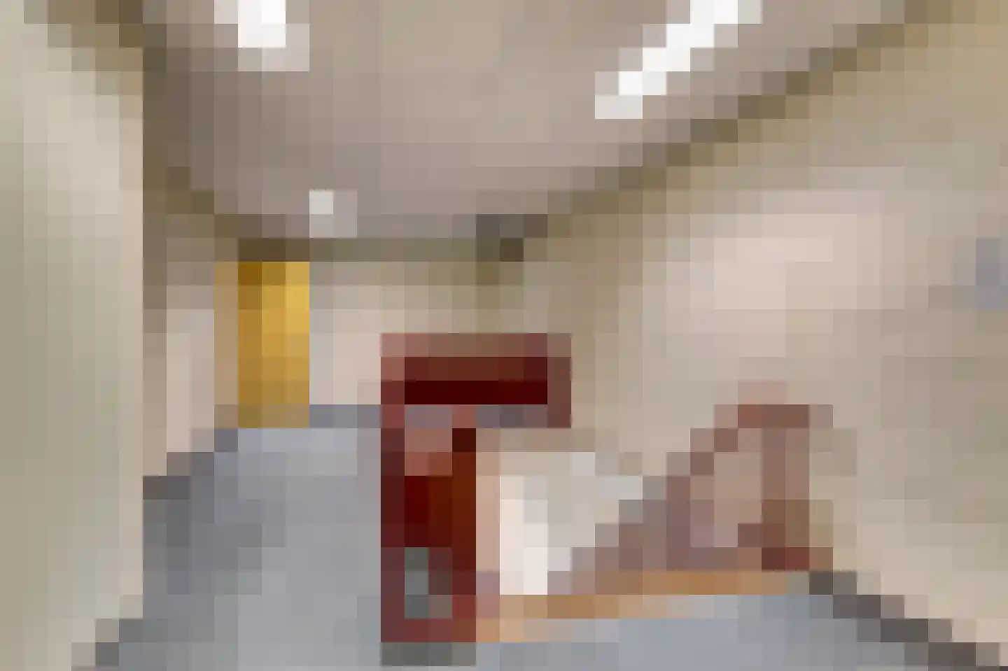 Noordweg 8 B Krabbendijke thumbnail 18
