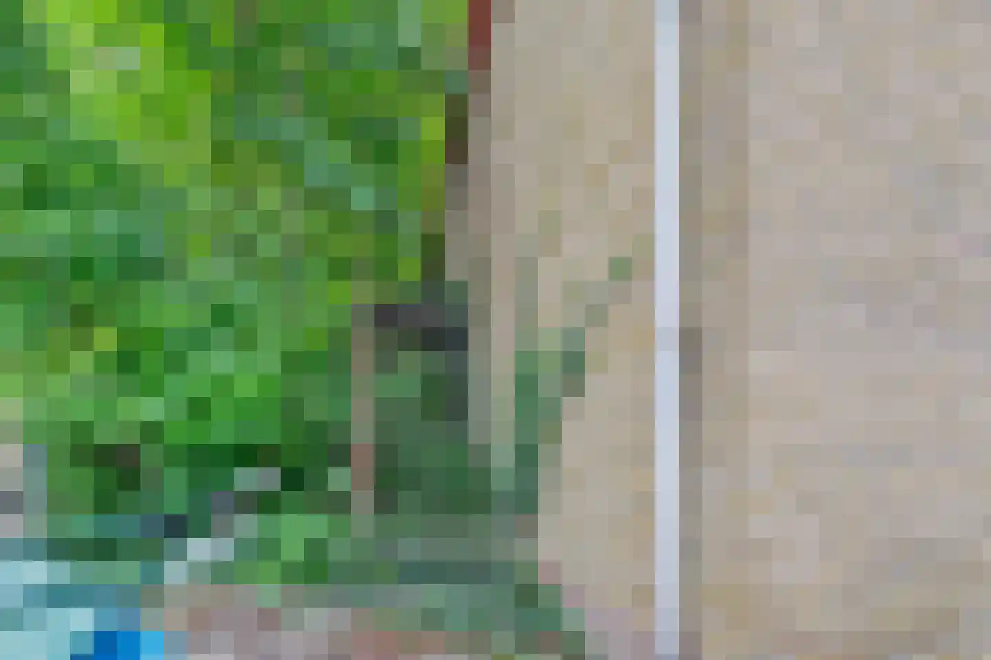 Noordweg 8 B Krabbendijke thumbnail 33