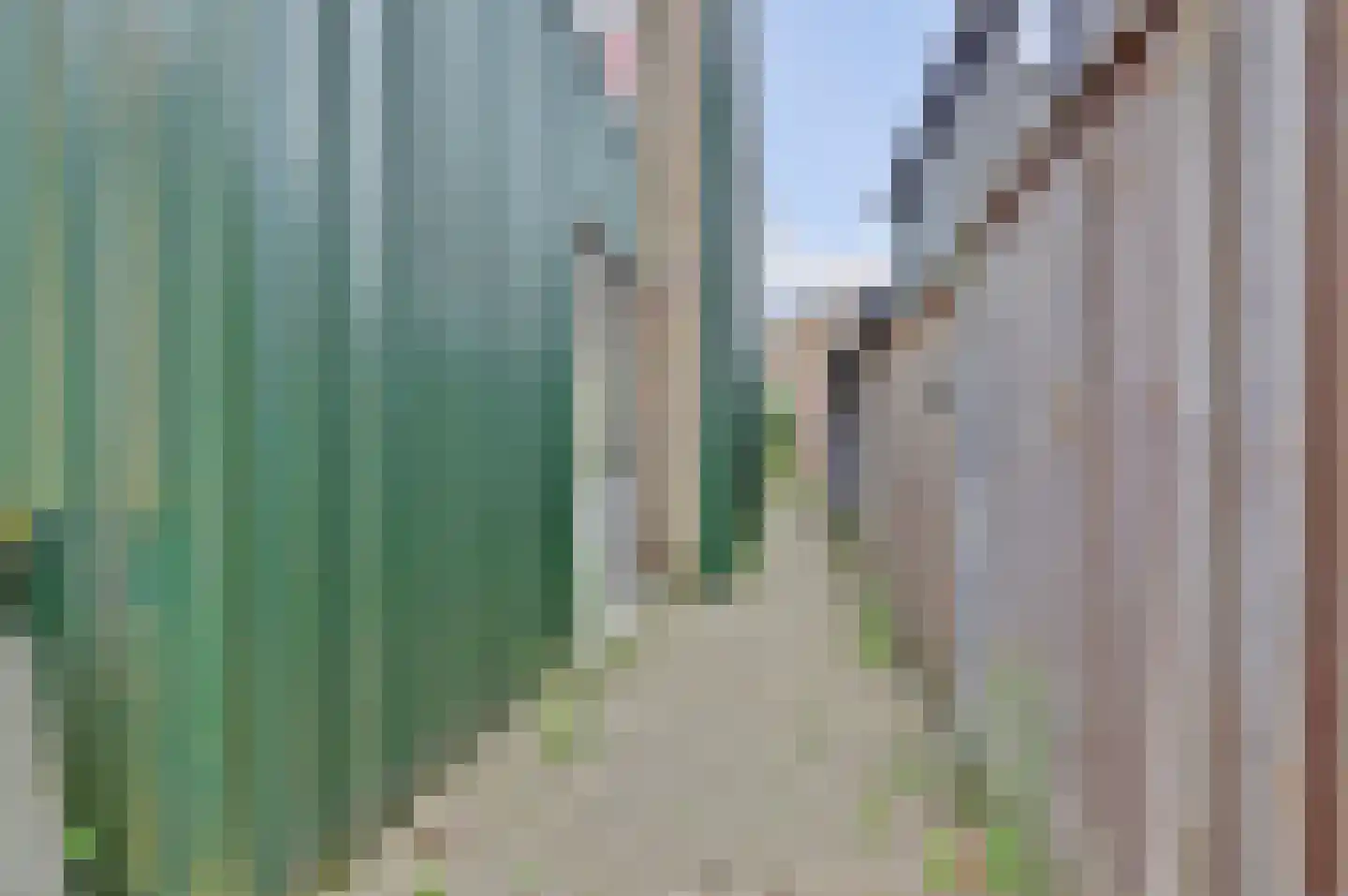 Noordweg 8 B Krabbendijke thumbnail 35