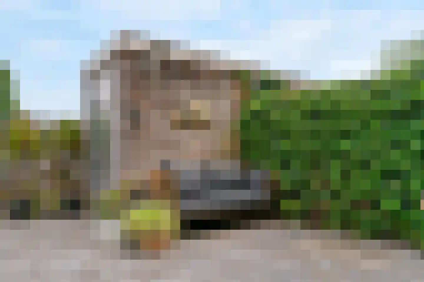 Noordweg 80 Zeist thumbnail 38