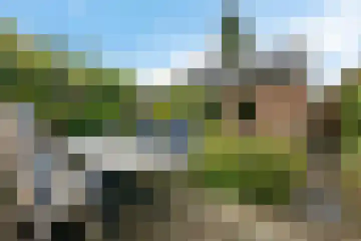 Noordweg 83 Zeist thumbnail 24