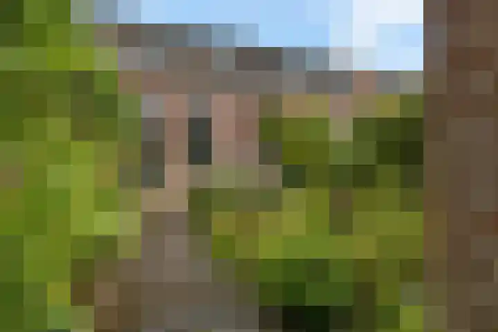 Noordweg 83 Zeist thumbnail 26