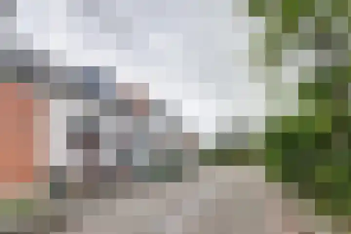 Noordweg 9 Geersdijk thumbnail 6