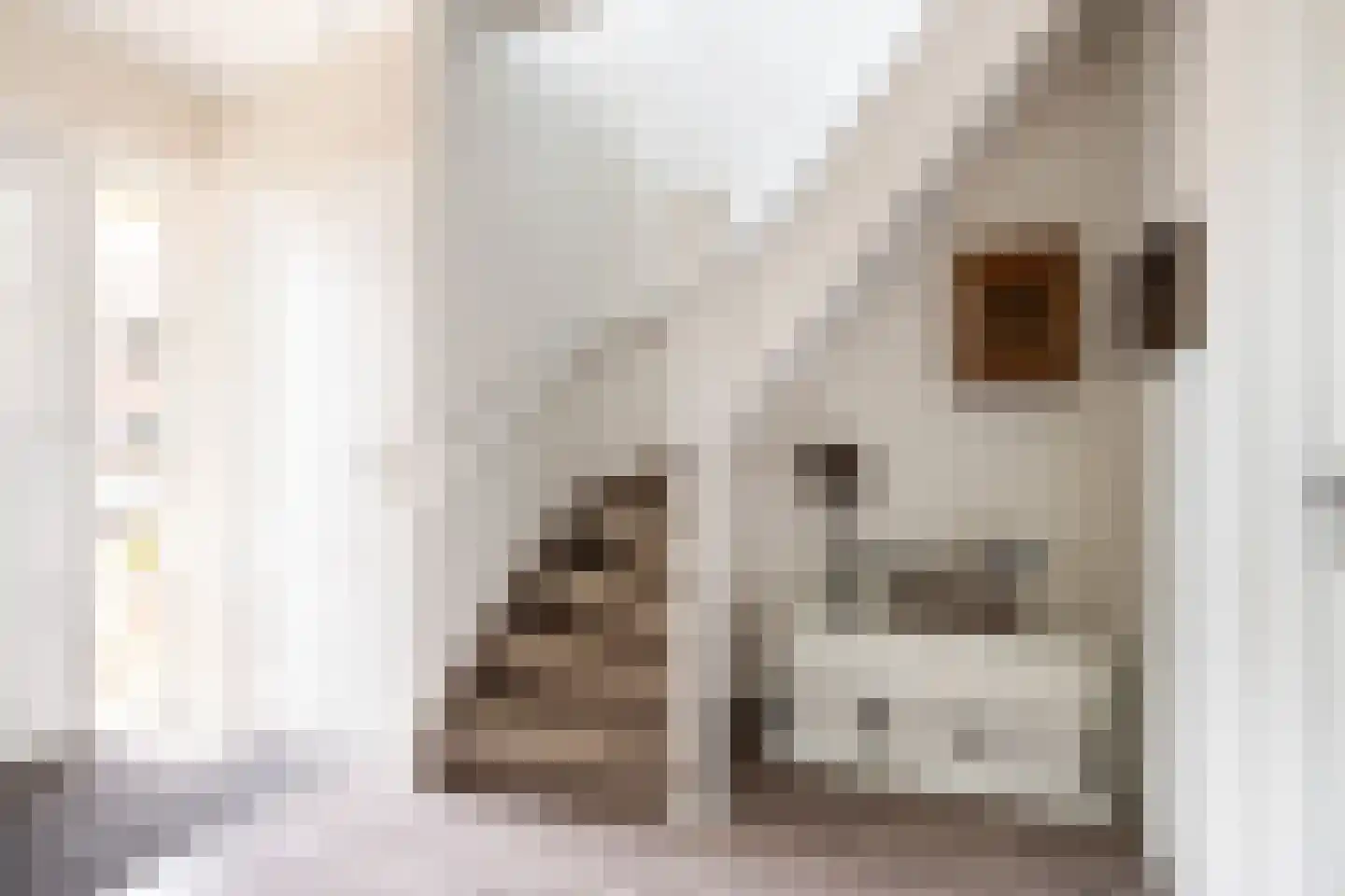 Noordwester 1 Krimpen aan de Lek thumbnail 15
