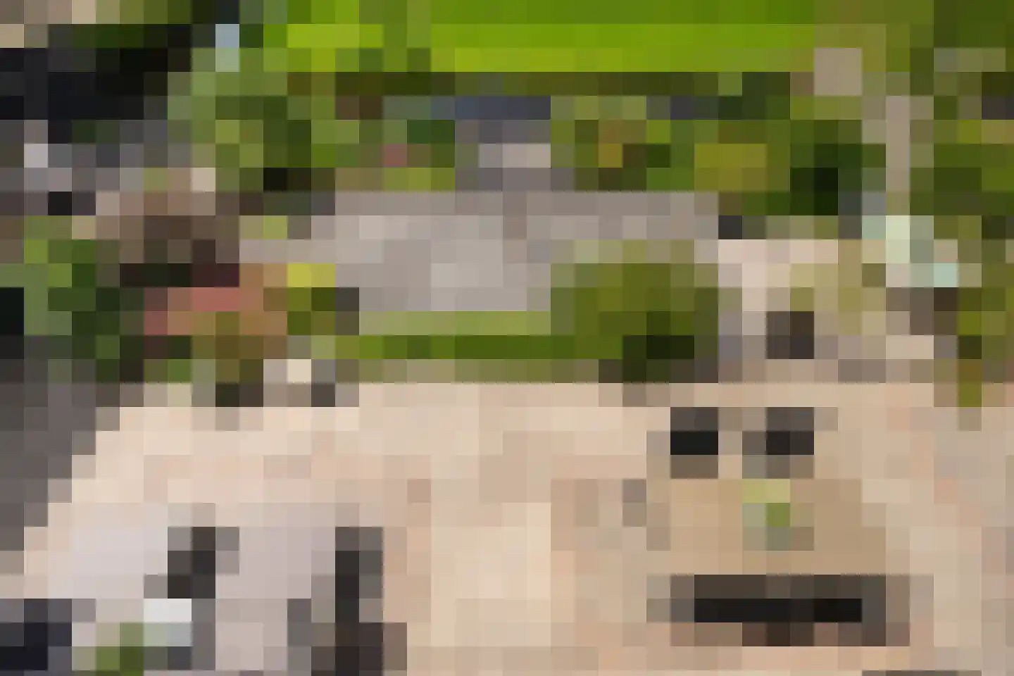 Noordwester 1 Krimpen aan de Lek thumbnail 19