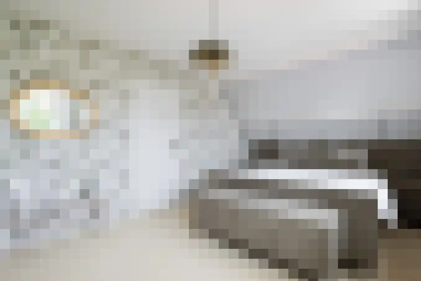 Noordwester 1 Krimpen aan de Lek thumbnail 21