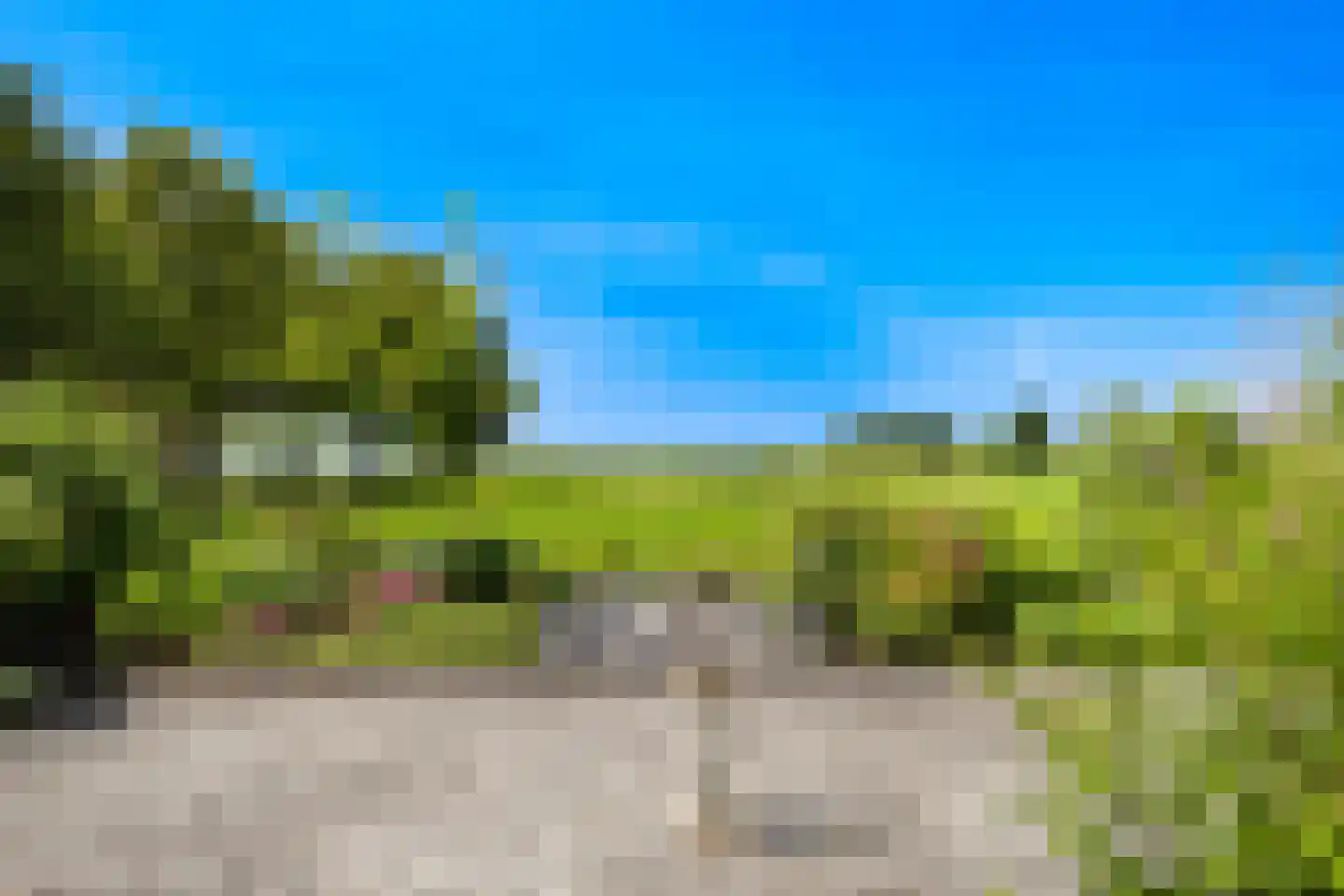 Noordwester 1 Krimpen aan de Lek foto 3