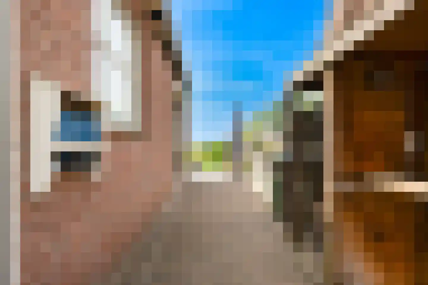 Noordwester 1 Krimpen aan de Lek thumbnail 40