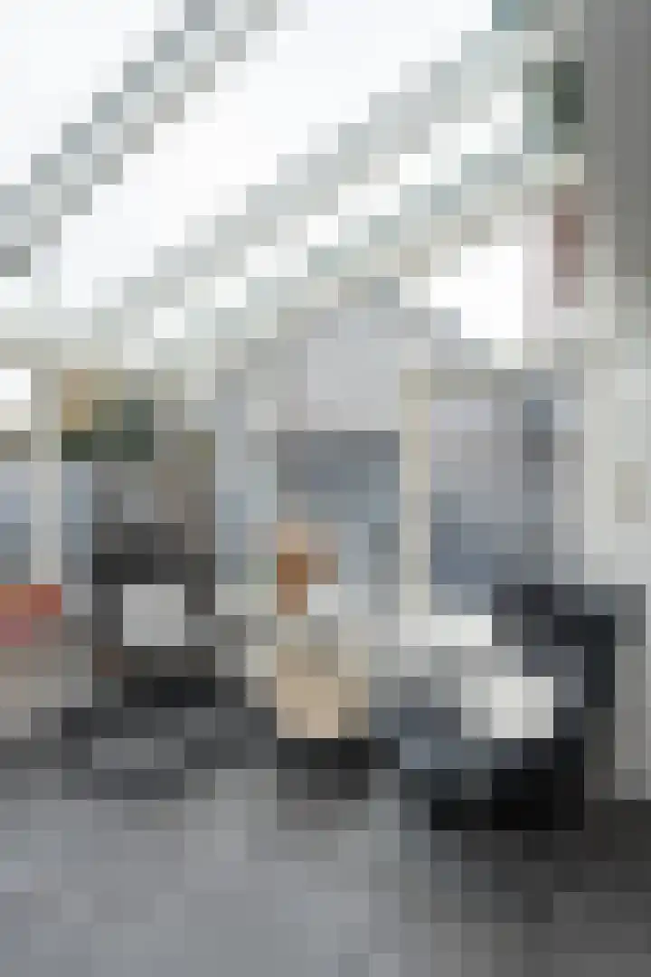 Noordwester 17 Den Burg thumbnail 11