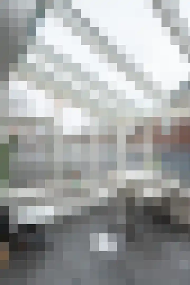 Noordwester 17 Den Burg thumbnail 12
