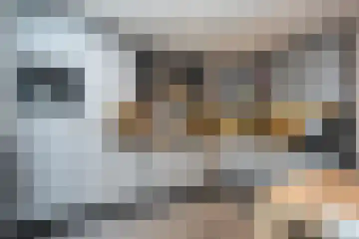 Noordwester 17 Den Burg thumbnail 15