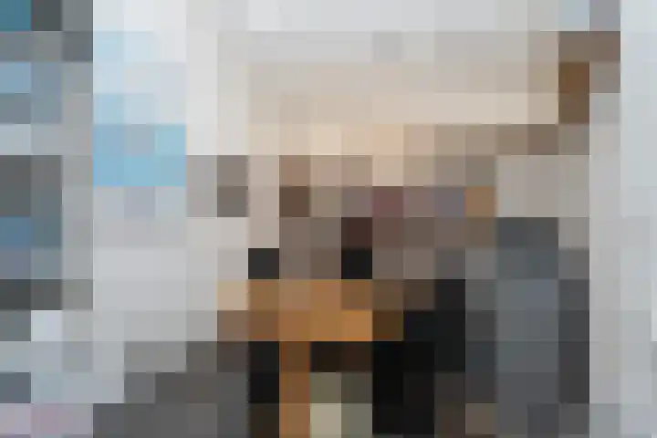 Noordwester 17 Den Burg thumbnail 17