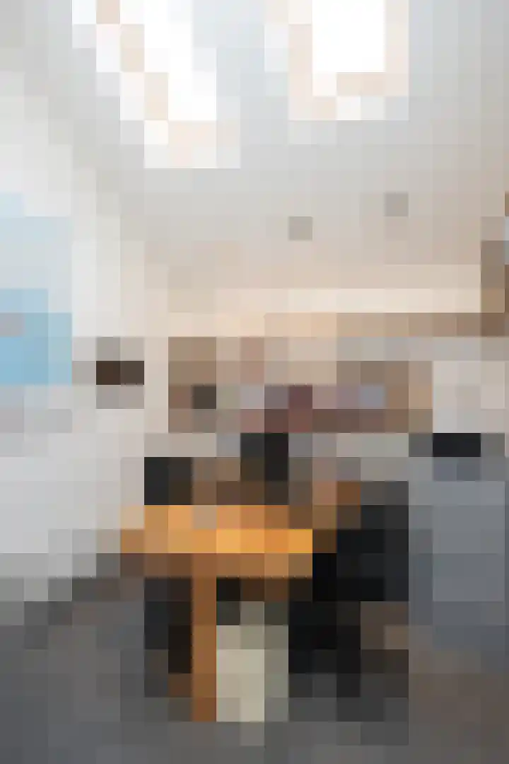 Noordwester 17 Den Burg thumbnail 18